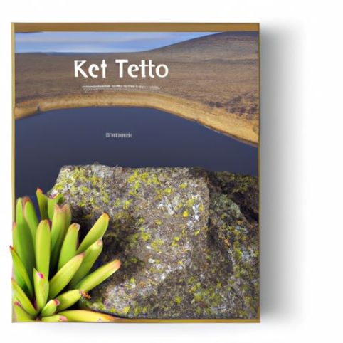 Diet Keto低热量优质出口低碳水化合物无麸质饮料谷物罐头食品MIKU莲子谷物