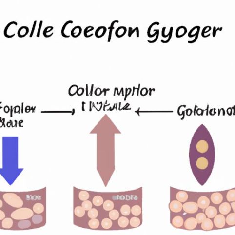 Peptide de collagène à petites molécules augmentant l'élasticité de la peau