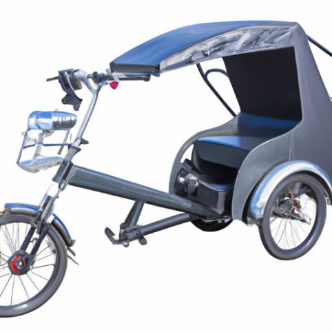 Triciclo per bici da carico per adulti Triciclo per risciò triciclo elettrico Pedicab Pedal Trike con 2 posti senza 3 ruote elettriche