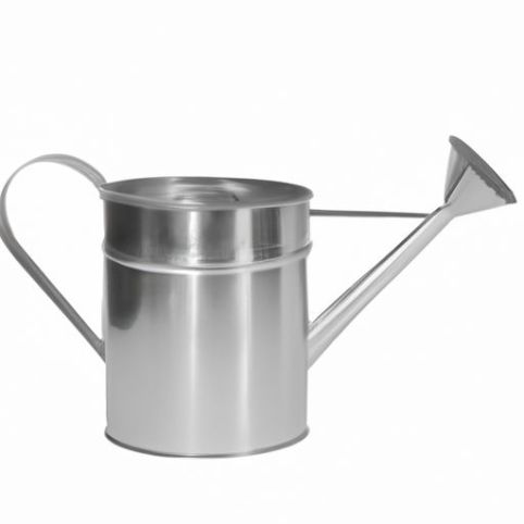 Watering Can Outdoor And Indoor customized size Watering Irrigation 2 Gallon 9 Litre Metal
