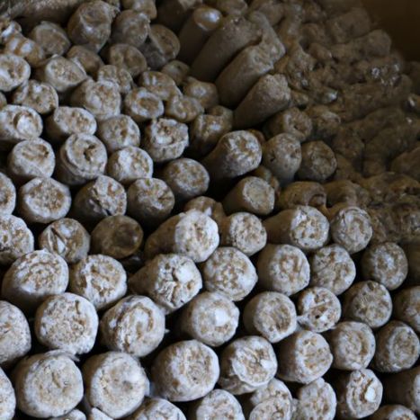 champignonspawn logsubstraat qihe biotech met goedkope prijs gecultiveerde shiitake