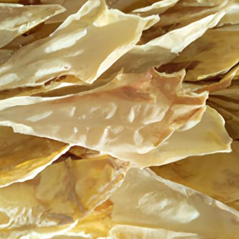 Cuttlefish Bones Sun Dry animal feed body part Trimmed Untrimmed Bleached Unbleached Natural High Quality Dried