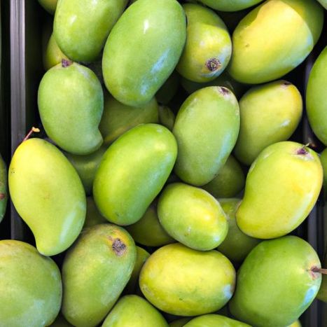 新鲜芒果我们销售优质意大利天然绿橄榄绿色/黄色
