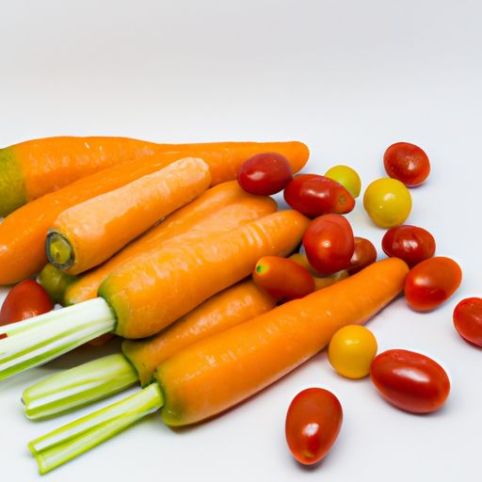 Gemischte weiße rote chinesische grüne Karotte, rote Farbe, Stil, Lagerung, Landwirtschaft, GAP, Farbe, Behälter, Herkunft, Typ, Gemüse, Kirschtomaten, Kohl, Karotte