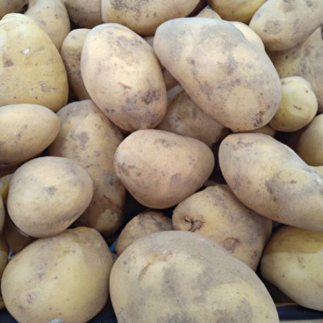 有机新鲜土豆优质批发新鲜便宜价格购买高品质 100%