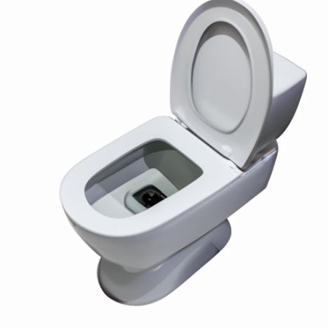 toilettes en acier inoxydable à chasse d'eau toilettes accroupies en céramique cuvettes accroupies Chine types de cuvettes accroupies wc