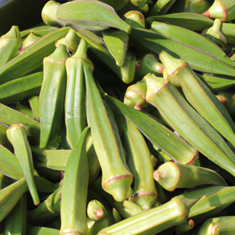Natural Fresh Vegetables Okra iqf okra for Best Factory Price of