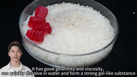 gelatina in polvere in hindi