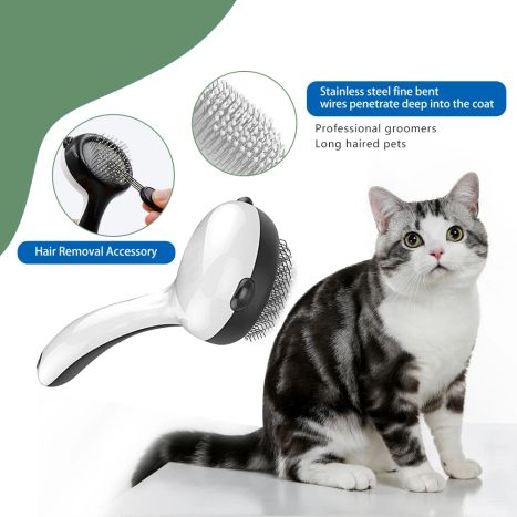 Pet Grooming Tool for Cats China Best Maker