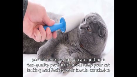 Medium size Dual Grooming Brush for Dogs &Cats Chinese Best Manufacturer